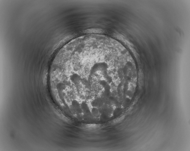 X0000112830153200910021230