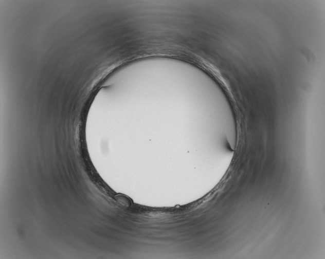 X0000112830154200910021230