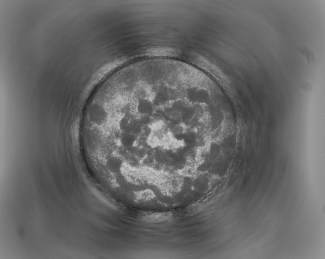 X0000112830155200910021230