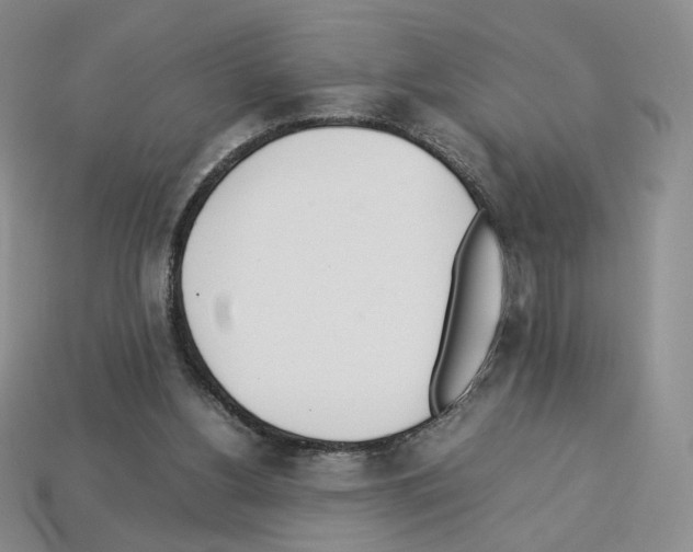 X0000112830156200910021230