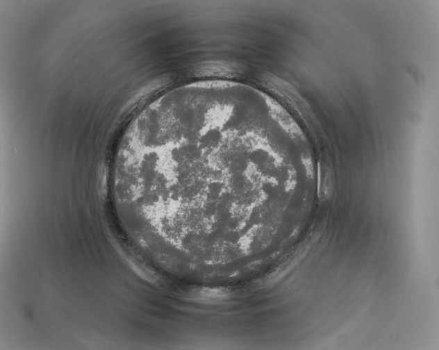 X0000112830157200910021230