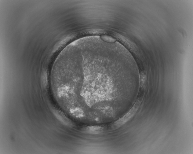 X0000112830158200910021230