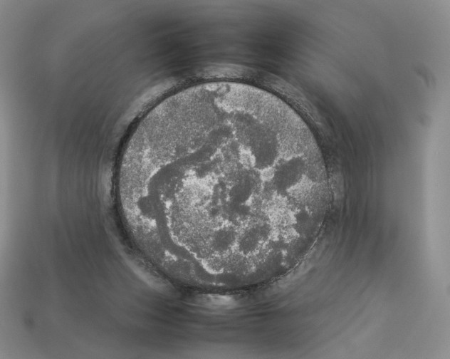 X0000112830159200910021230