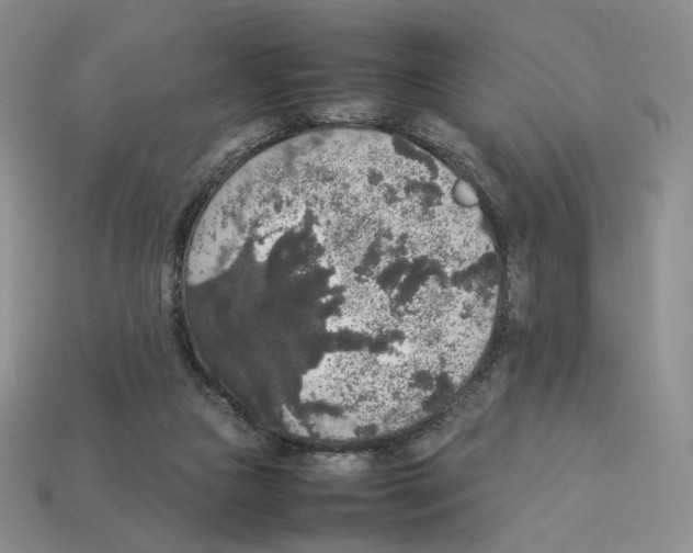 X0000112830161200910021230