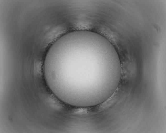 X0000112830162200910021230