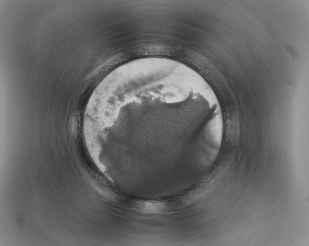 X0000112830165200910021230