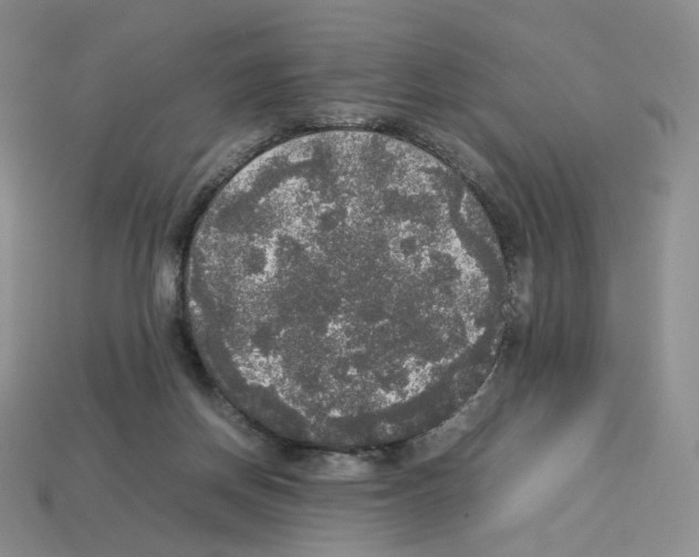 X0000112830166200910021230