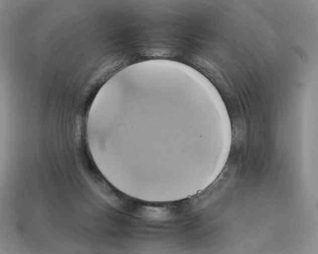 X0000112830167200910021230