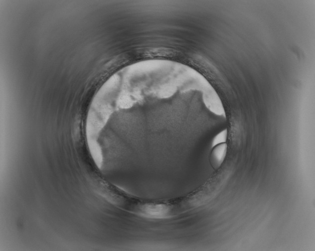 X0000112830169200910021230