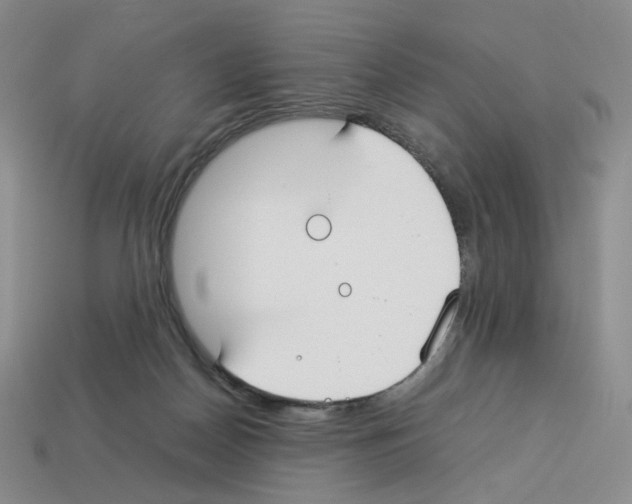 X0000112830170200910021230