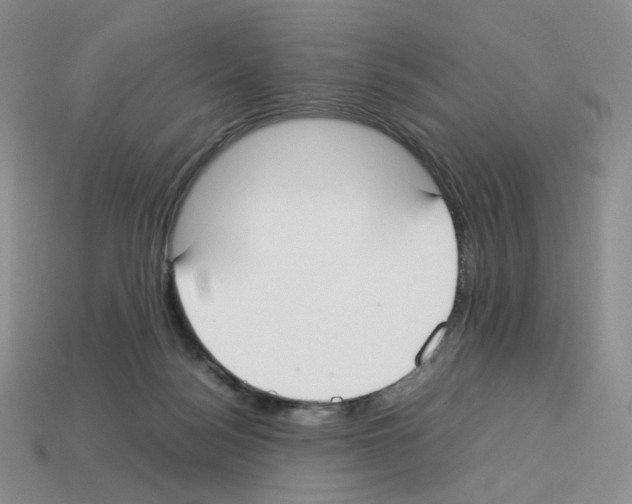 X0000112830172200910021230