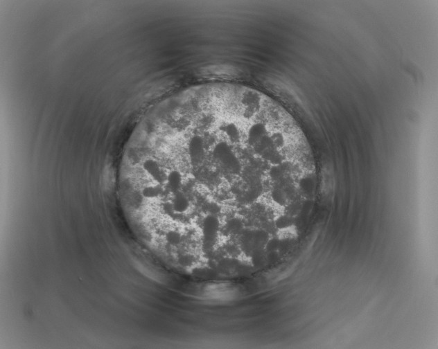 X0000112830173200910021230