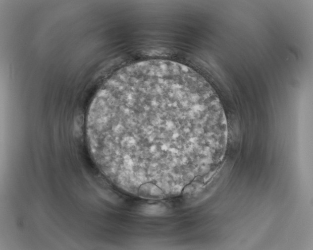 X0000112830175200910021230