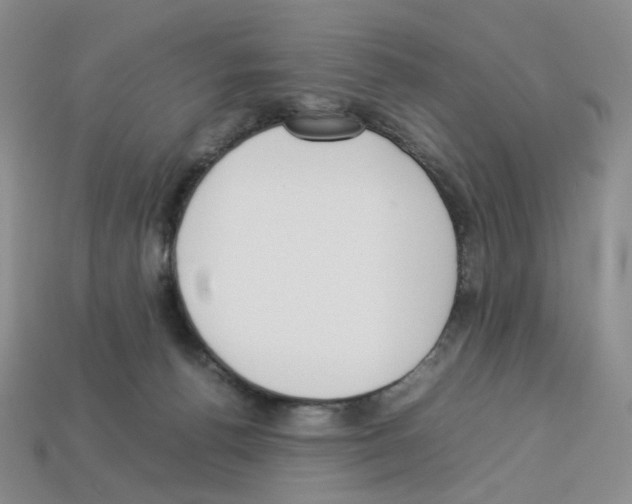 X0000112830176200910021230