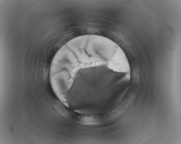 X0000112830177200910021230