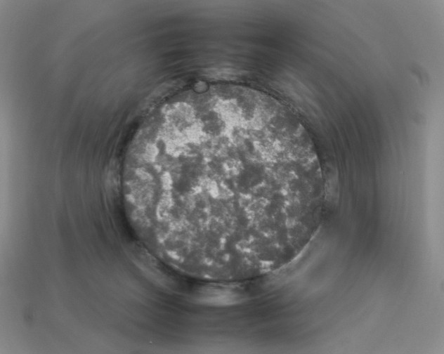 X0000112830179200910021230