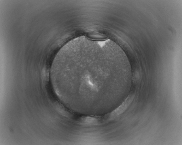 X0000112830180200910021230