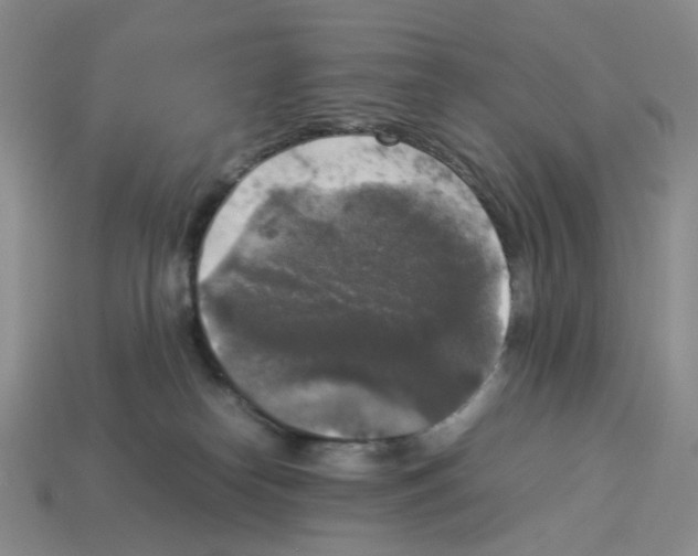 X0000112830182200910021230