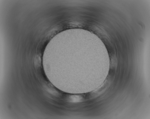 X0000112830183200910021230