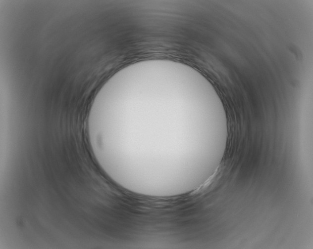 X0000112830184200910021230