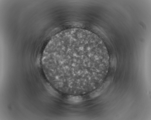 X0000112830185200910021230