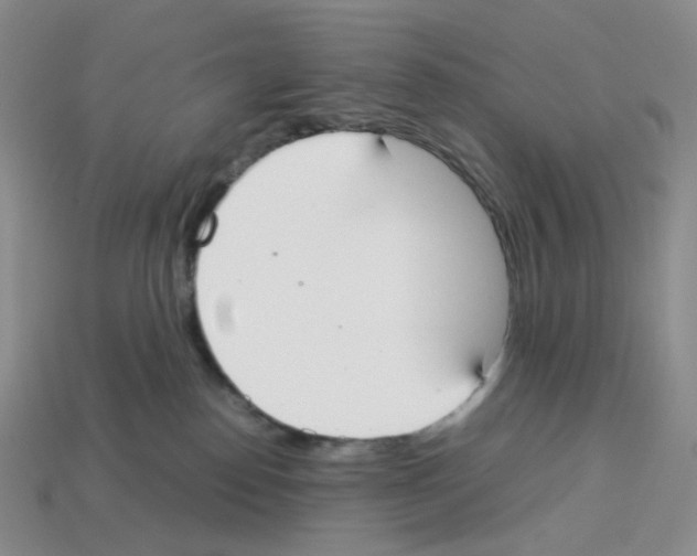 X0000112830186200910021230