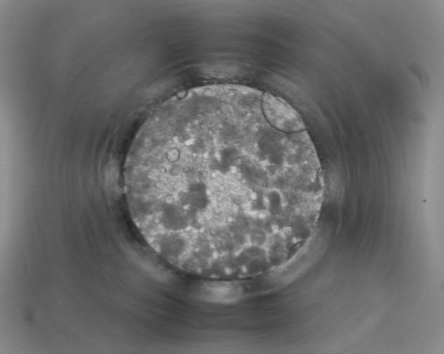 X0000112830187200910021230