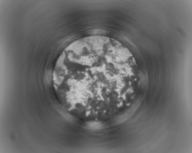 X0000112830189200910021230