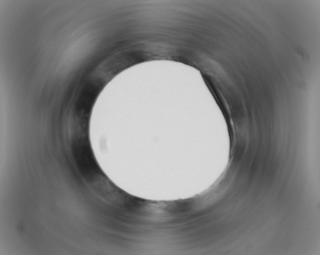 X0000112830190200910021230