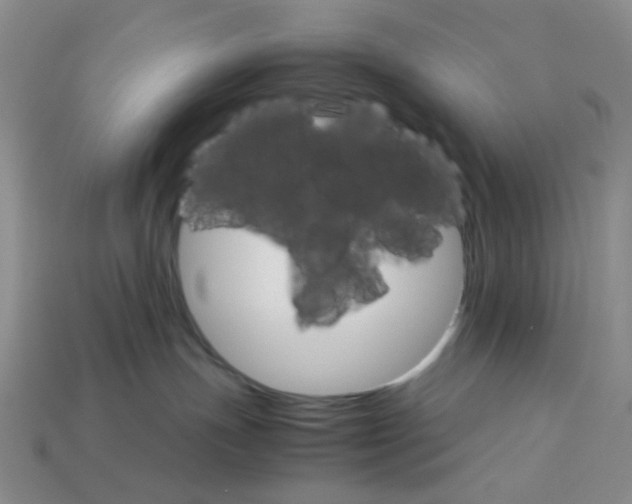 X0000112830191200910021230