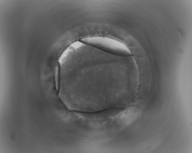 X0000112830192200910021230