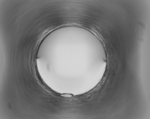 X0000112830193200910021230