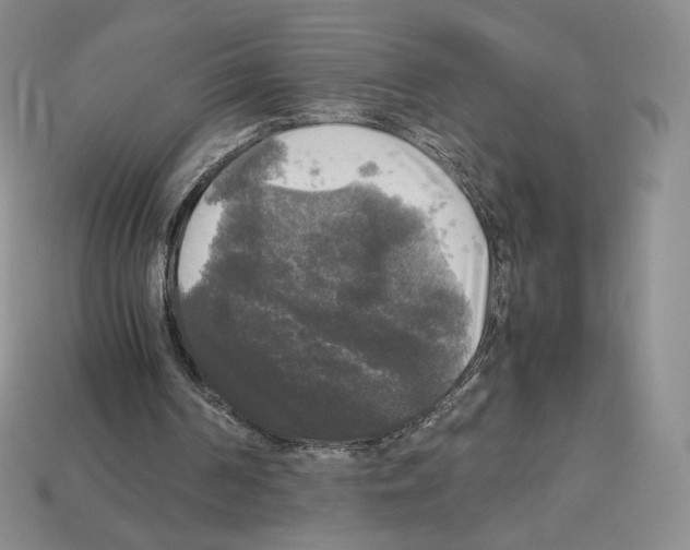 X0000112830194200910021229