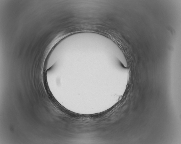 X0000112830195200910021229