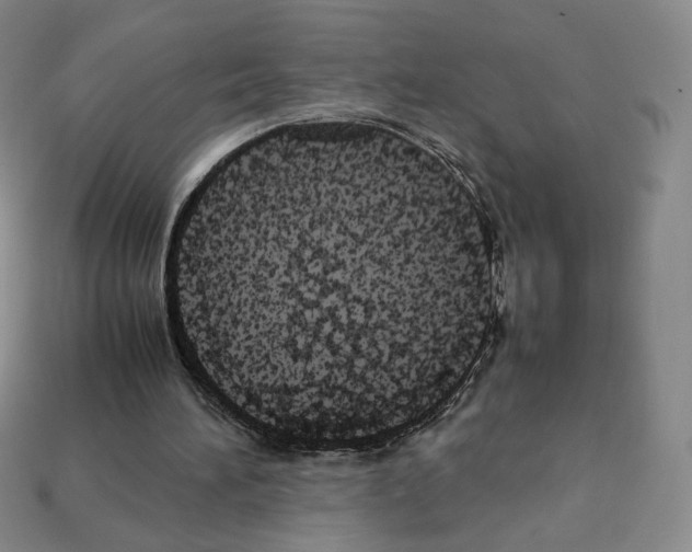 X0000112830196200910021229