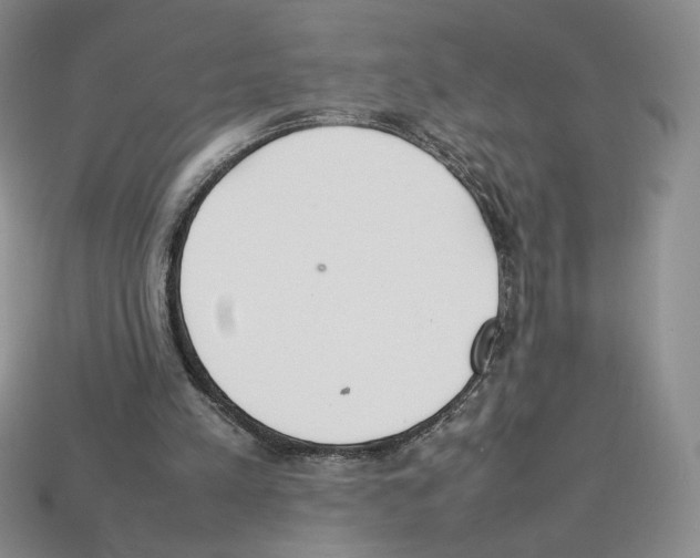 X0000112830197200910021229