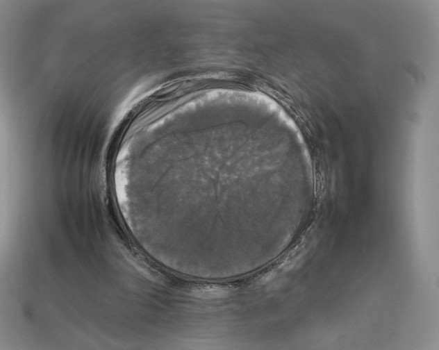 X0000112830198200910021229