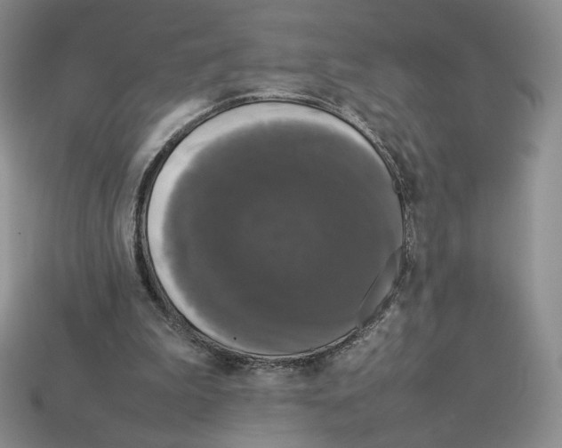 X0000112830199200910021229