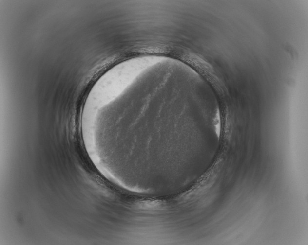 X0000112830202200910021229