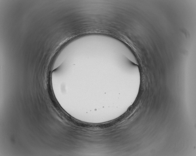 X0000112830203200910021229