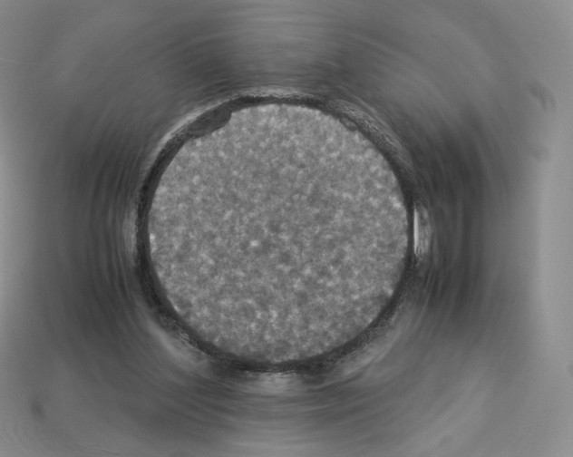 X0000112830204200910021229