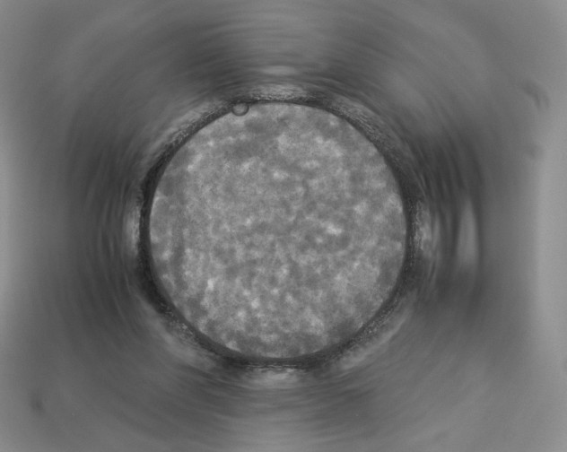 X0000112830206200910021229