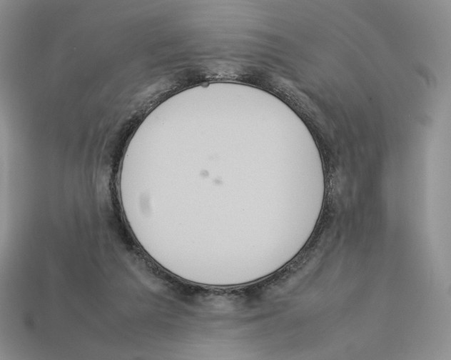 X0000112830209200910021229