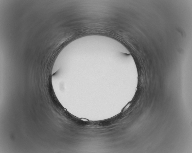 X0000112830211200910021229