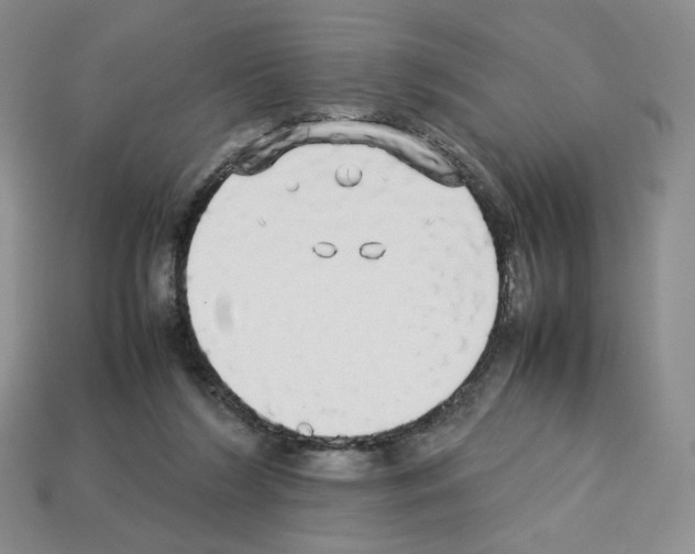 X0000112830212200910021229