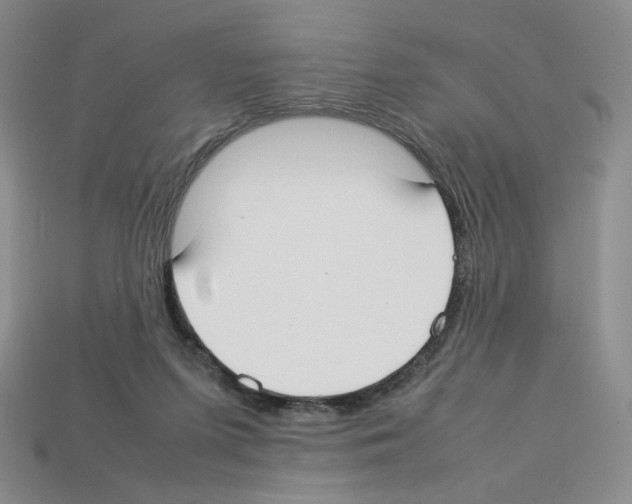 X0000112830215200910021229