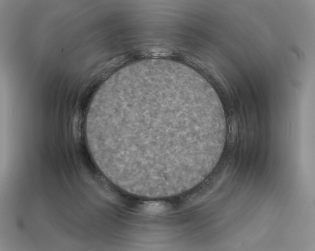 X0000112830218200910021229