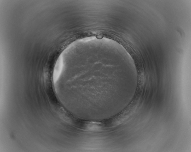 X0000112830222200910021229