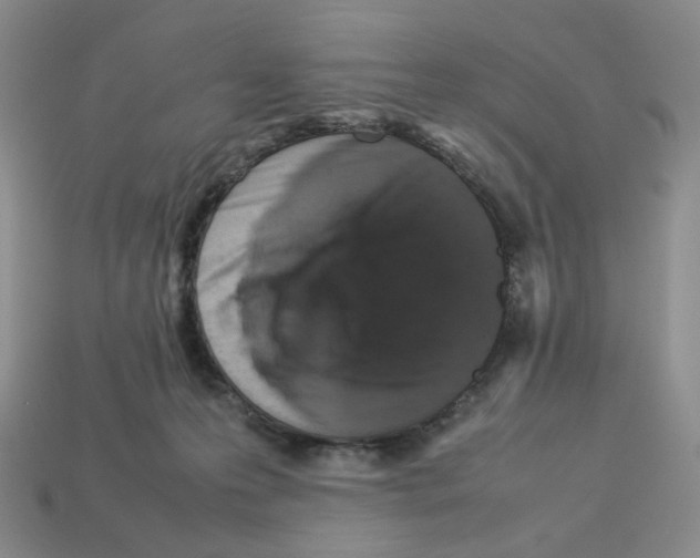 X0000112830223200910021229