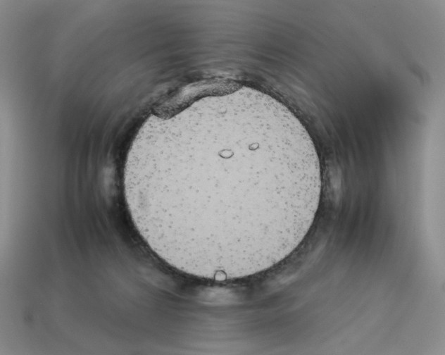 X0000112830224200910021229